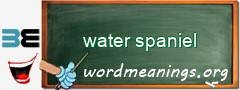 WordMeaning blackboard for water spaniel